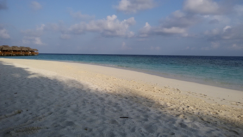 Принял на грудь, скажи что-нибудь! Трезвым вход запрещён!