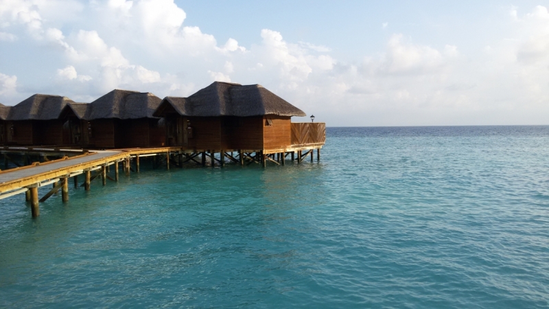 Принял на грудь, скажи что-нибудь! Трезвым вход запрещён!