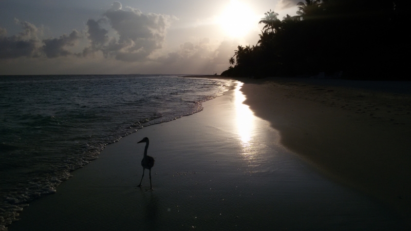 Принял на грудь, скажи что-нибудь! Трезвым вход запрещён!
