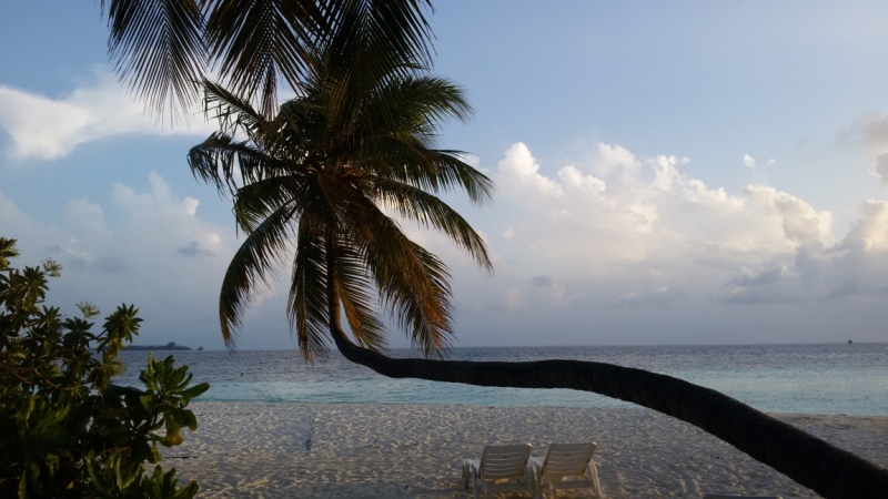 Принял на грудь, скажи что-нибудь! Трезвым вход запрещён!