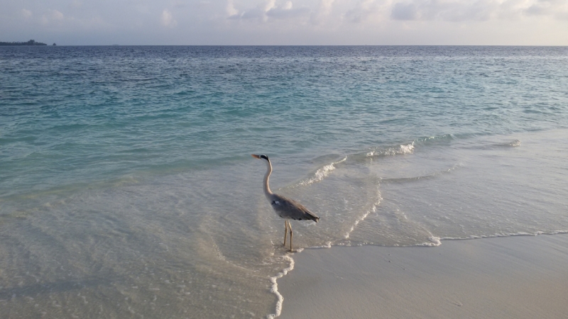Принял на грудь, скажи что-нибудь! Трезвым вход запрещён!