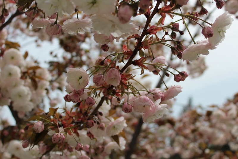 На weekend в Геленджик 9 апреля. Первое знакомство с городом.
