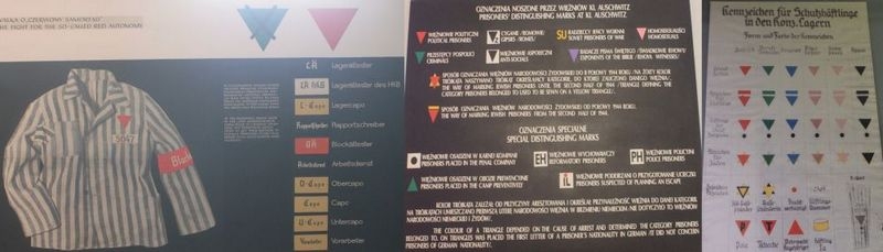 В Африку через Прибалтику..Скандинавию..Европу..Балканы и Азию на простом мотоцикле YBR125 В Африку через Прибалтику..Скандинавию..Европу..Балканы и Азию на простом мотоцикле YBR125