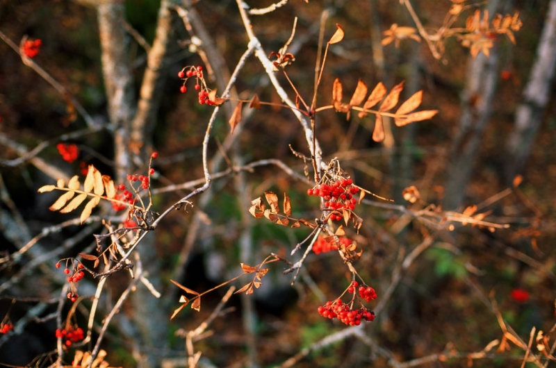 Водопад Кивач