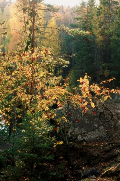 Водопад Кивач