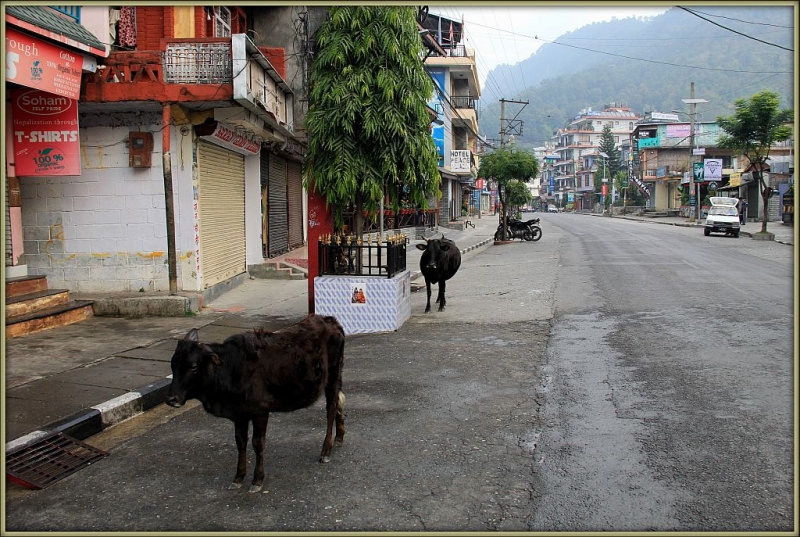 Сувениры в Непале