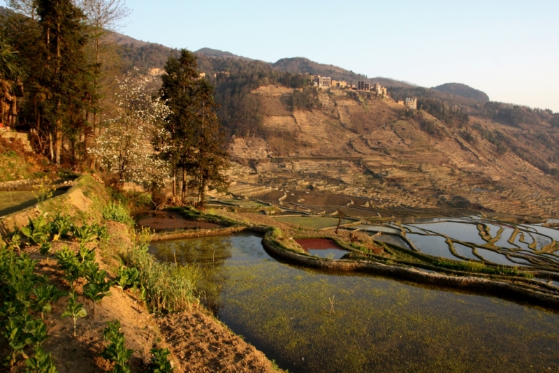 Yunnan в марте (Yuanyang – Lijiang - Shangri-La )