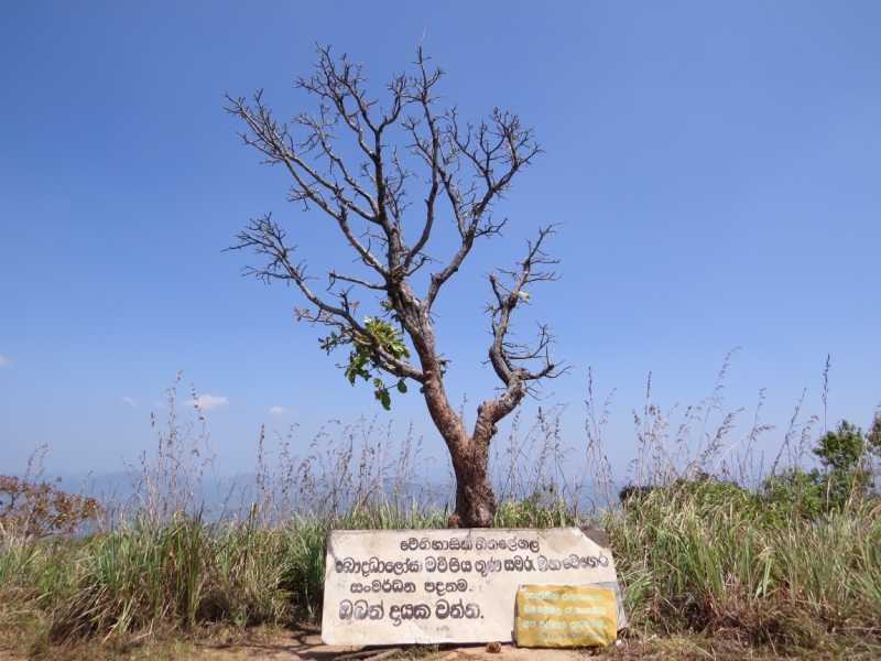 Шри-Ланка в феврале-марте 2016 г. Пляжи и треккинги (нетуристические места).