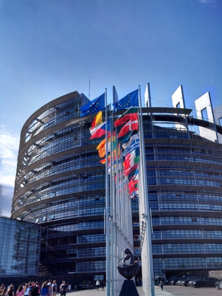 Эльзас глазами жителя