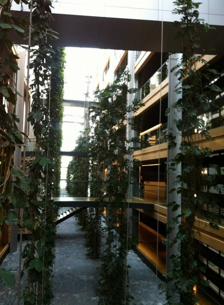 Эльзас глазами жителя