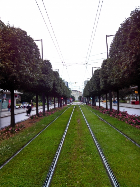 Эльзас глазами жителя