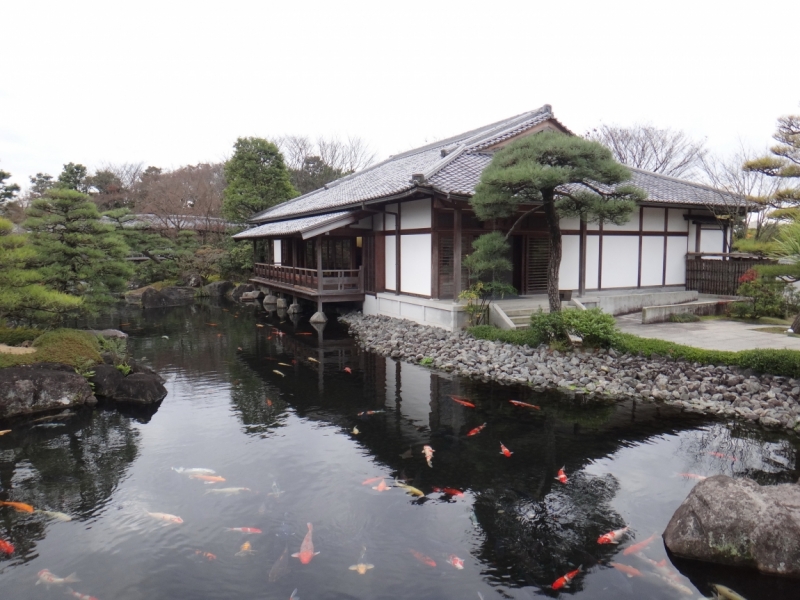 Япония на Новый год  - от Фукуоки до Сендая по трем островам - окончено