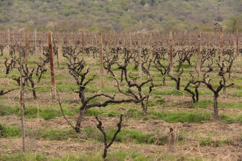 Погода в марте в Армении