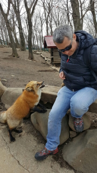 Онсэн в Японии: правила посещения, виды, традиции и ответы на частые вопросы