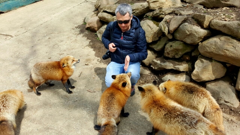 Онсэн в Японии: правила посещения, виды, традиции и ответы на частые вопросы