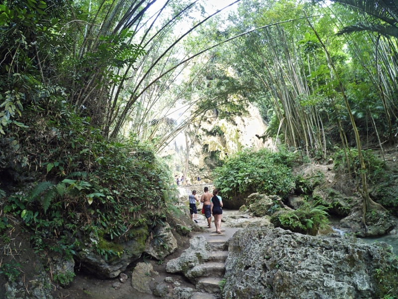 Филиппины за 450 долл. Себу (акулы), Бохол, Палаван, Манила с фото и видео