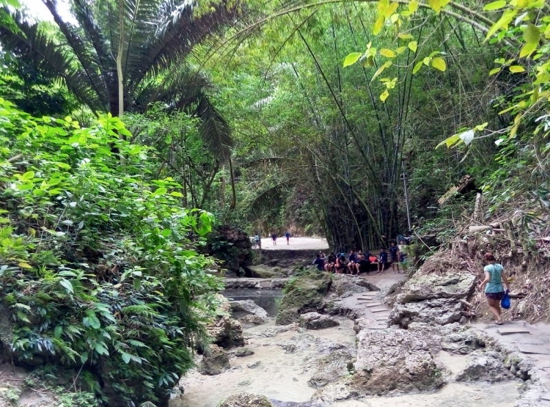 Филиппины за 450 долл. Себу (акулы), Бохол, Палаван, Манила с фото и видео