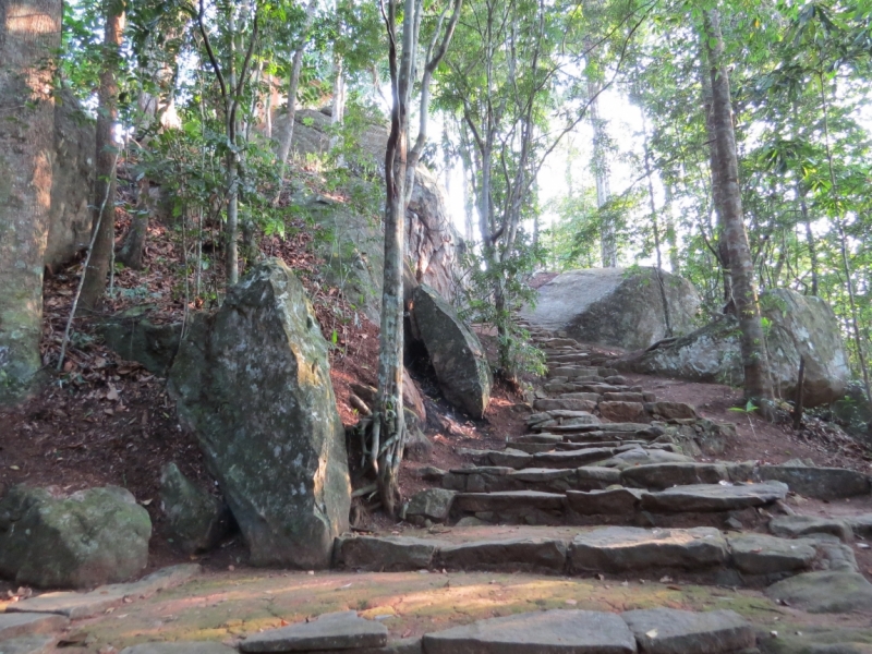 Шри-Ланка в феврале-марте 2016 г. Пляжи и треккинги (нетуристические места).