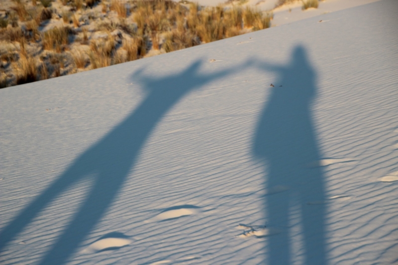 США с Востока на Запад: через горы, пляжи и песочницу