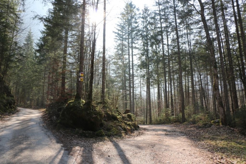 Ледниковый сад в Хальштатте