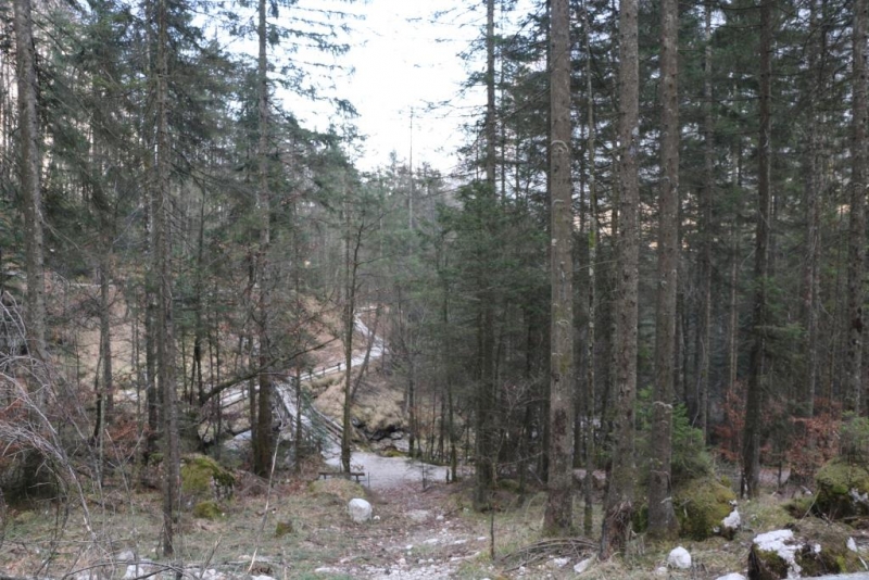 Ледниковый сад в Хальштатте