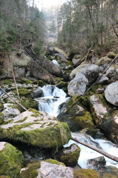 Ледниковый сад в Хальштатте