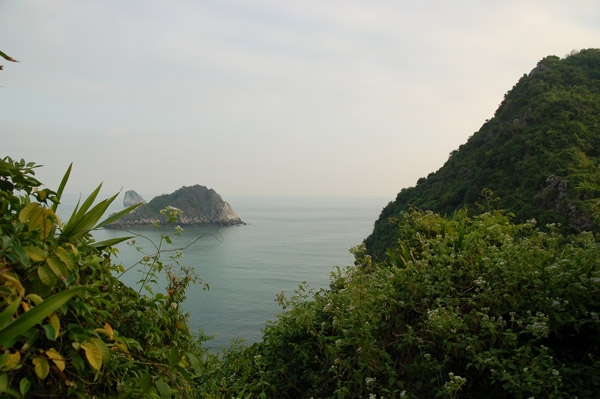 Декабрь 2015. Вьетнамские хроники, или работа над ошибками