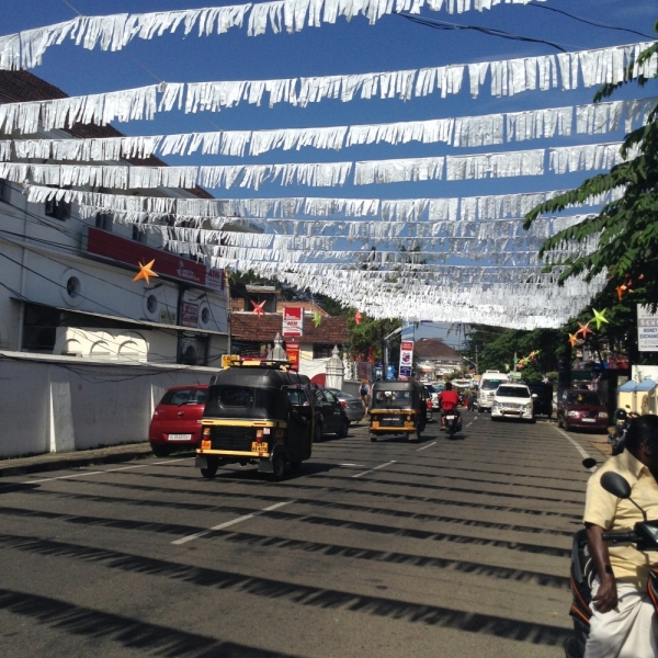 5 месяцев в Индии или краткий путеводитель по Керале ( Кочи, Аллепи, Муннар)