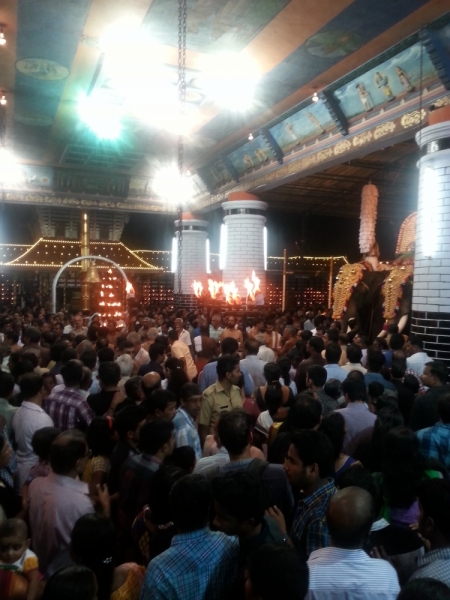 5 месяцев в Индии или краткий путеводитель по Керале ( Кочи, Аллепи, Муннар)