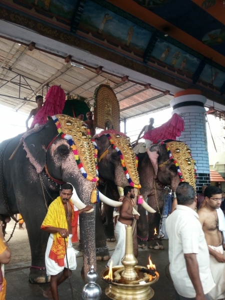 5 месяцев в Индии или краткий путеводитель по Керале ( Кочи, Аллепи, Муннар)