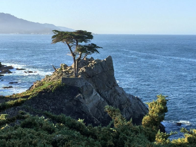 Оба побережья США за 18 дней. март-апрель 2016 года