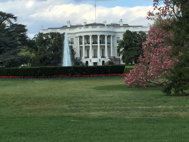 Оба побережья США за 18 дней. март-апрель 2016 года