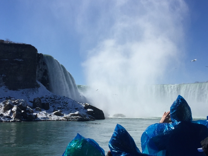 Оба побережья США за 18 дней. март-апрель 2016 года