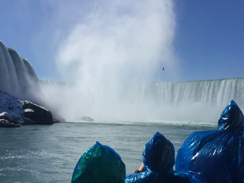 Оба побережья США за 18 дней. март-апрель 2016 года