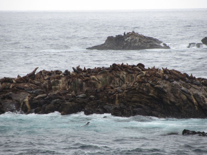 Круговое путешествие по Калифорнии - осень 2014