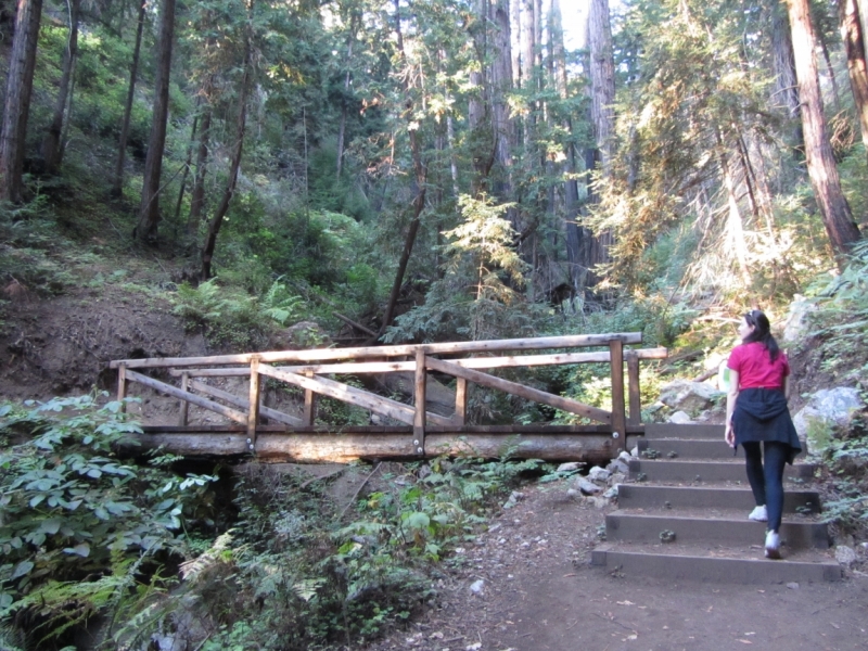 Круговое путешествие по Калифорнии - осень 2014