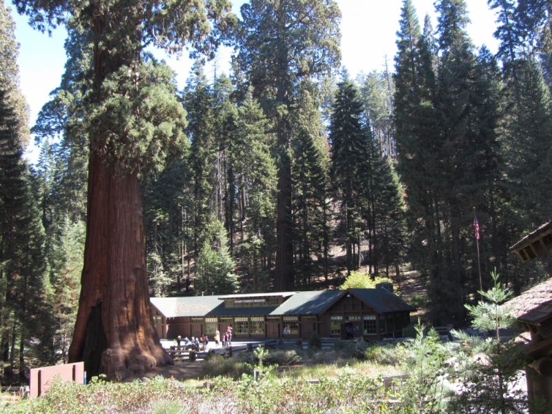 Круговое путешествие по Калифорнии - осень 2014