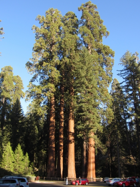 Круговое путешествие по Калифорнии - осень 2014