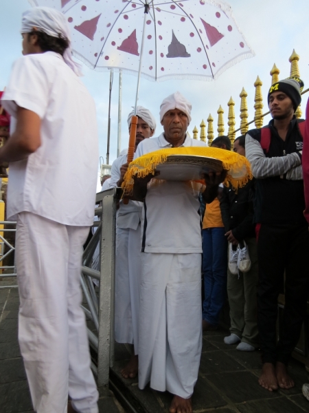 Шри-Ланка в феврале-марте 2016 г. Пляжи и треккинги (нетуристические места).