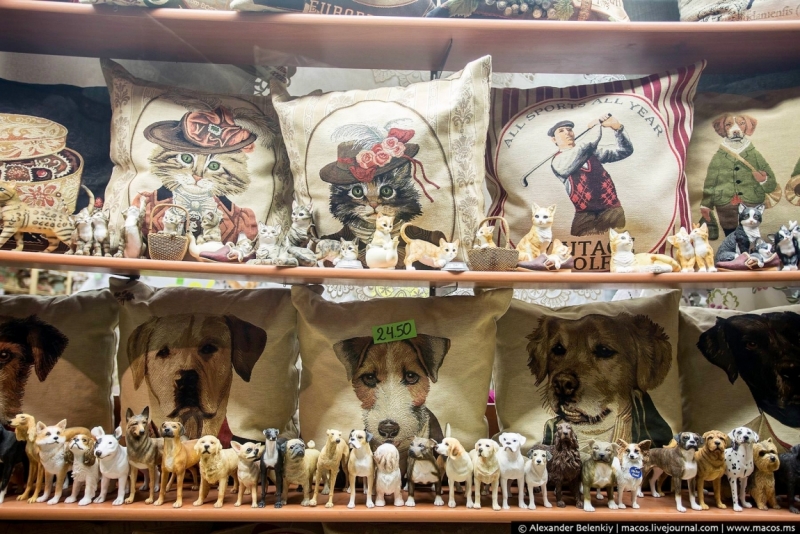 Поговорим о кошках39