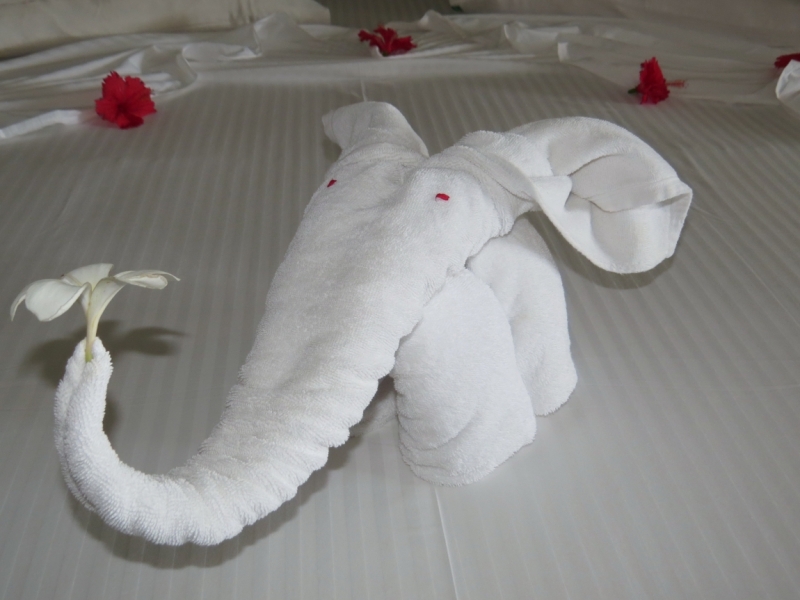 Шри-Ланка в феврале-марте 2016 г. Пляжи и треккинги (нетуристические места).