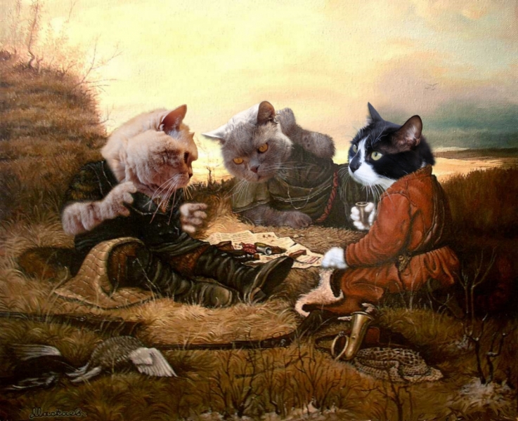 Поговорим о кошках39