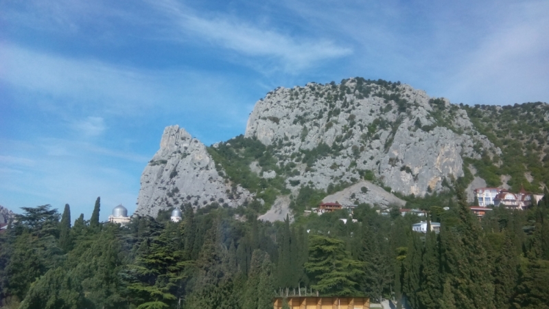 Поговорим о кошках39