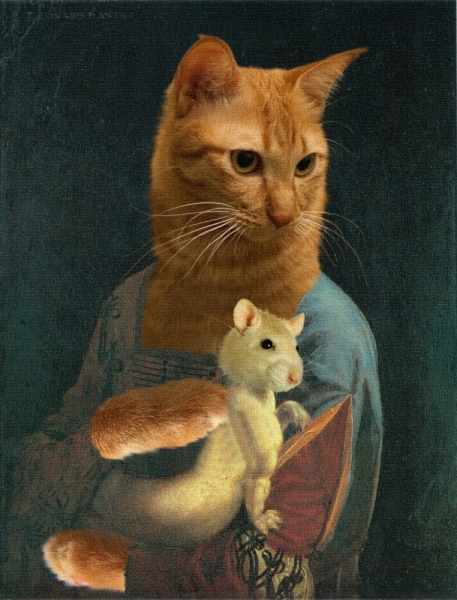 Поговорим о кошках39