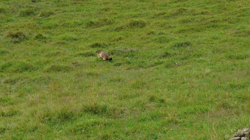 Питер - Женева. Нужны советы! Первый раз.