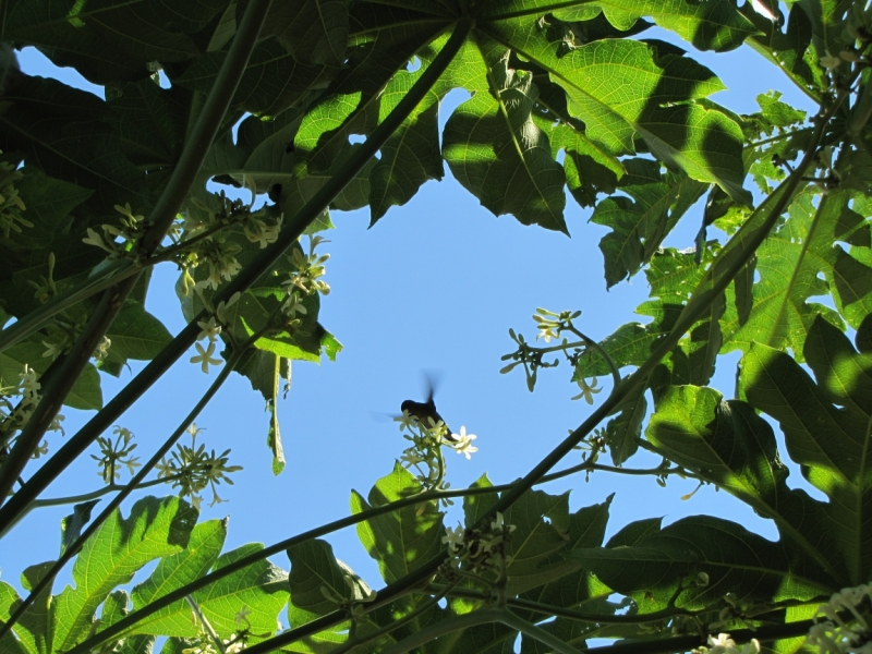 Жизнь семьи в аргентинской Месопотамии.