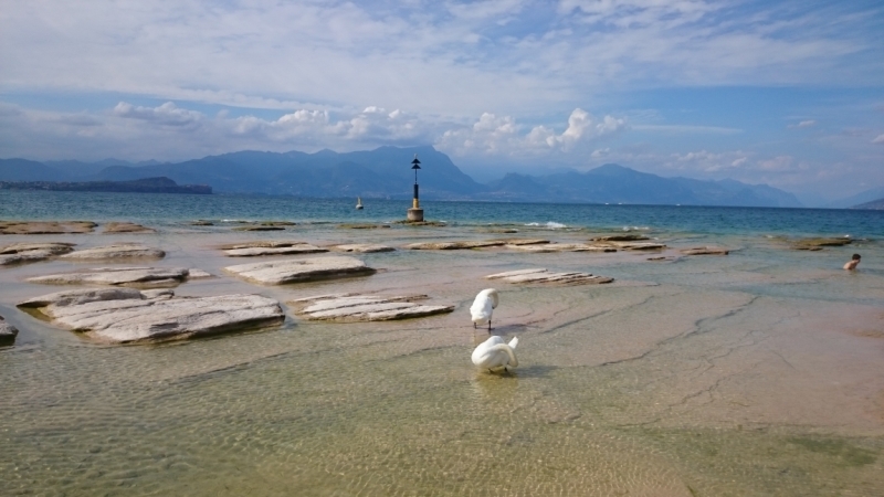 Рим - Тоскана - Лигурийское побережье - о.Гарда - Венеция (14 дней в июле)