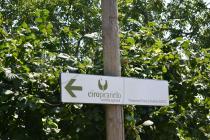 DSC 0110 (Копировать).JPG