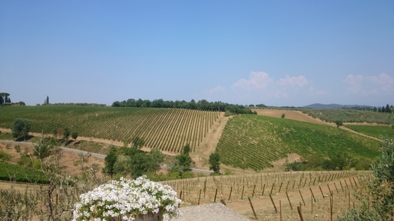 Рим - Тоскана - Лигурийское побережье - о.Гарда - Венеция (14 дней в июле)