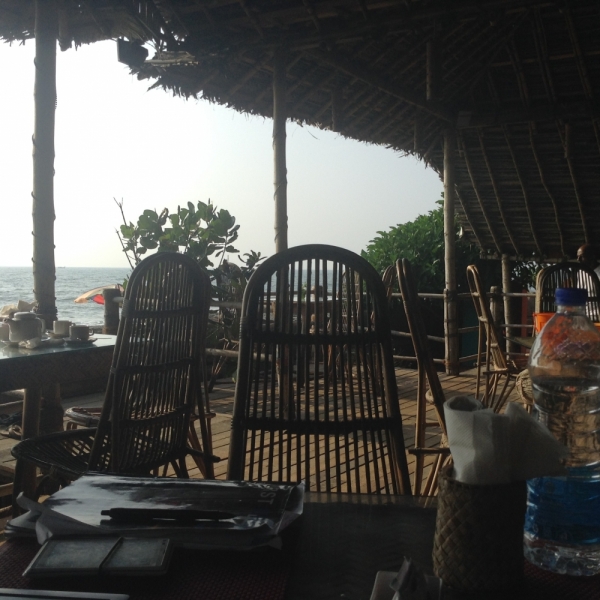 5 месяцев в Индии или краткий путеводитель по Керале ( Кочи, Аллепи, Муннар)